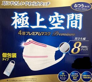 【即日発送】送料無料　コストコ　極上空間マスク　ふつうサイズ　個包装タイプ　お試し30枚