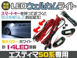 50 エスティマ ACR5# GSR5# LED ウェルカムライト SMD ホワイト2