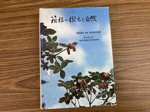 箱根の樹木と自然　木原均　箱根樹木園　/D