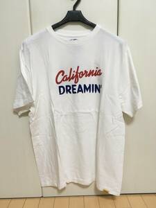 STANDARD CALIFORNIA SD California Dreamin’ T WHITE L スタンダードカリフォルニア Tシャツ ホワイト 白