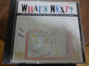 WHAT'S NEXT？永井真理子鈴木雄大REIMY★CDレア！