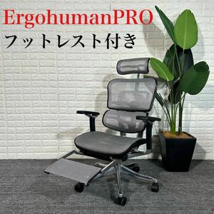 ErgohumanPRO エルゴヒューマン オフィスチェア メッシュ B173