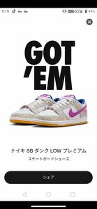 Rayssa Leal Nike SB Dunk Low PRM Pure Platinum and Vivid Purple 27.5cm