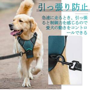 【開封のみ】Rabbitgoo ★犬 ハーネス小型犬 5-15KG ソフト かわいい 犬用胴輪 引っ張り防止 負担が少ない首輪 サイズ調整可 XSの画像6