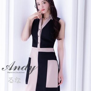 24時まで限定で【最終値下げ】からお値下げ!andy ドレス キャバドレス ナイトドレス