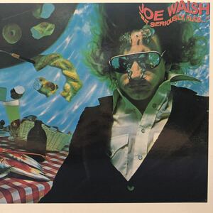 Joe Walsh ジョー・ウォルシュ ロスからの蒼い風 LP 見開きジャケット レコード 5点以上落札で送料無料e