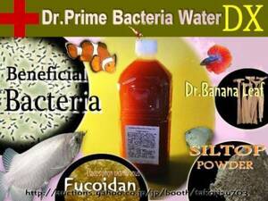 【最強！水槽革命オールインワン】 水が死なないバクテリア濃縮液2.4リットルセット【水質浄化力+フルボ強化！】　э **ц**