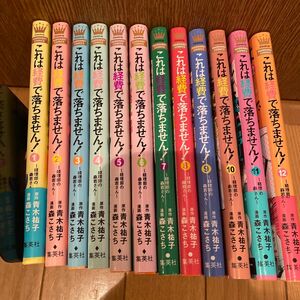 これは経費で落ちません! 12 ～経理部の森若さん～