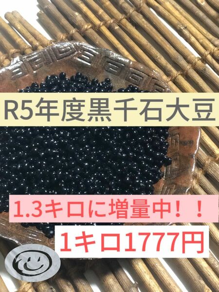 北海道産 幻の黒千石大豆 R5