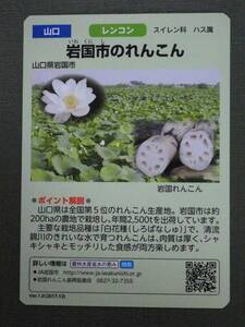 ●水の恵みカード●38 岩国市のれんこん●龍ヶ鼻揚水機場●山口県岩国市●配布終了●ラスト1枚●