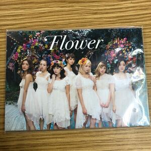 T-075】Flower ポストカード　未開封