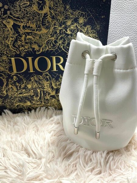 Dior ポーチ