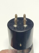 Western Electric 101D　ジャンク品_画像5