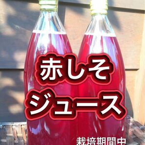 大好評！『赤しそ』のしずく　赤しそジュース　大容量２本入り