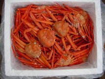 蟹食べ放題！！ボイル済み「紅ずわい蟹B10kg冷凍」蟹の本場、境港産_画像6