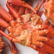 蟹食べ放題！！ボイル済み「紅ずわい蟹B10kg冷凍」蟹の本場、境港産_画像2