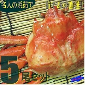 10箱、名人の浜茹で蟹５尾セット...茹釜揚げ直送！！ 紅ずわい蟹「紅蟹A300-400(5)」