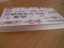 極美品　書籍1冊　自然科学の歴史（講談社学術文庫）　端山好和　2022年　講談社　_画像3