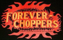 新品 VISE レッドテイル ヘビーコットン生地 長袖 Tシャツ [FOREVER CHOPPERS] (Lサイズ/白) ドラゴン バイク フレイムス REDTAIL バイス_画像2