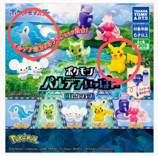 ポケモン パルデアいっぱいコレクション (ピカチュウ) (ナミイルカ) ガチャ セット 