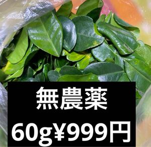 無農薬　フレッシュ　コブミカン葉　こぶみかん　　葉　バイマックル葉 60g