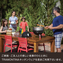 TRAMONTINA ロングテーブルフォーク 20.5cm×60本 ポリウッド 食洗機対応 トラモンティーナ_画像8