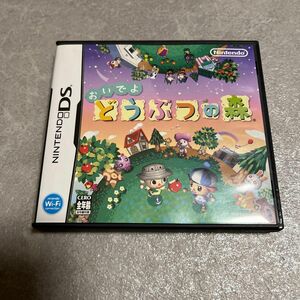 【DS】おいでよ どうぶつの森