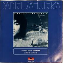 Daniel Sahuleka - Ev’rybody Feel The Groove Everybody_画像2