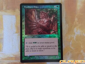 MTG　フィンドホーンの古老/Fyndhorn Elder　英　7ED　FOIL