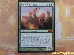 MTG　カロニアのハイドラ/Kalonian Hydra　日　M14