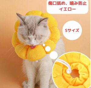 猫　ネコ イエロー　黄色 S 傷舐め防止 かわいい ひまわり 保護 犬 ペット 