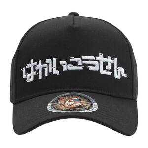 はかいこうせん キャップ ポケモン cap 帽子