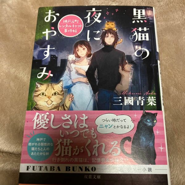 黒猫の夜におやすみ　神戸元町レンタルキャット事件帖 （双葉文庫　み－３２－０１） 三國青葉／著