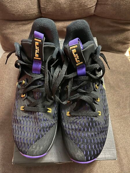NIKE LEBRON WITNESS V EP スニーカー