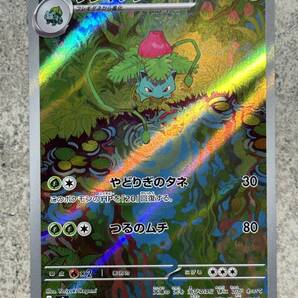 ポケモンカードゲーム151 フシギソウ 167/165 AR Pokemon Cards Ivysaurの画像1