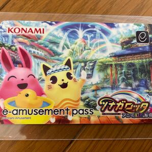 ツナガロッタ e-amusement pass eパス 当選品 アニマと虹色の秘境