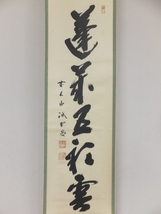 ◎【真筆保証】 藤井誡堂 直筆 蓬莱五彩雲 大徳寺 515世 臨済宗 コレクター放出品(小田雪窓 後藤瑞巌) 茶掛 茶道具 掛軸作品何点でも同梱可_画像6