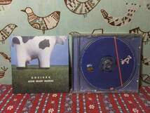 CD (輸入盤)　GOVINDA ゴビンダ / ATOM HEART MADRAS　ラガテイストなロック、ダンス系　中古_画像4