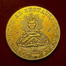 アルゼンチン 硬貨 古銭 ラ・リオハ州 1843年 太陽 国章 帽子 エスクード コイン 金貨 外国古銭 海外硬貨 _画像1