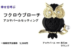 お買い得セール！送料込2300円◇幸せを呼ぶ　可愛いフクロウのブローチ＆照り花珠クラスのアコヤベビーパール