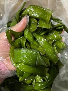 713.最新年度　塩蔵茎わかめ　徳島県産　ネコポス箱込み1kg