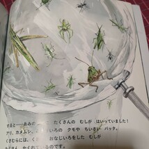 ★人気絵本★　福音館書店　かがくのとも　むしとりあそび　昆虫　くわがた　カブトムシ_画像6