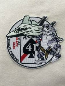 US Navy F-14 TOMCAT FOREVER VF-41 BLACK ACES!!