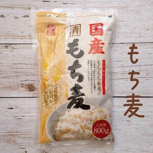 もち麦　800g　国産　麦ごはん　雑穀