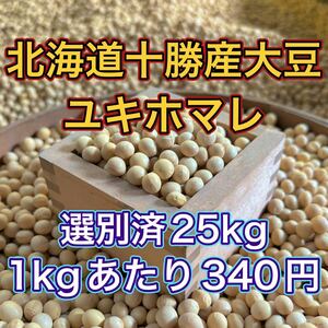 大人気 北海道産 大豆 25kg 匿名配送 自家製 味噌 納豆 豆腐 豆乳 国産 小豆 ユキホマレ