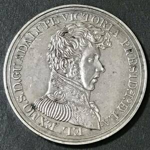銀貨 1824年　8レアル　グアダルーペ・ビクトリア　初代メキシコ大統領 1円銀貨　貿易銀　古銭　硬貨　コイン