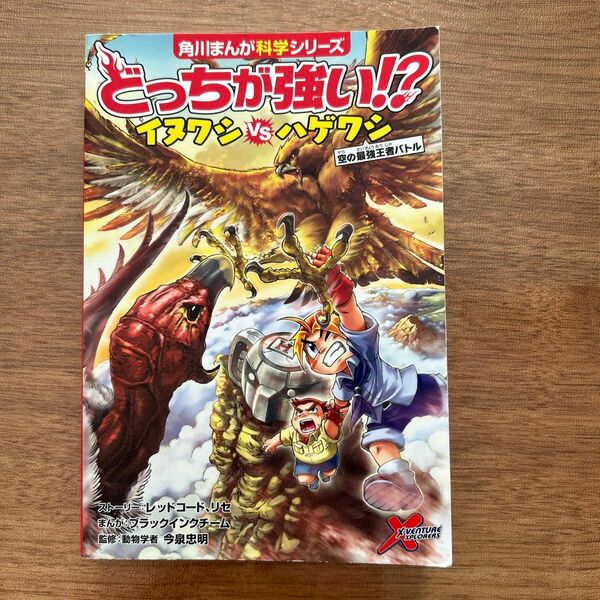 どっちが強い！？イヌワシＶＳ（たい）ハゲワシ　空の最強王者バトル 角川まんが科学シリーズ　