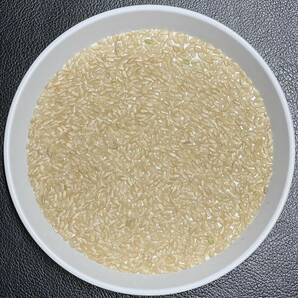 【送料無料 一等検査米】 令和5年度産 京都 丹後 玄米 コシヒカリ 30kgの画像2