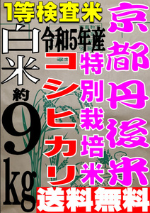 【送料無料 一等検査米 特別栽培米】 令和5年度産 京都 丹後 コシヒカリ 白米 約9kg