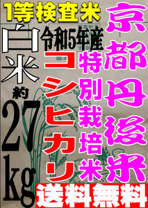 【送料無料 一等検査米 特別栽培米】 令和5年度産 京都 丹後 コシヒカリ 白米 約27kg